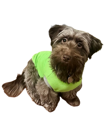 Эка - Лица Экодиктанта