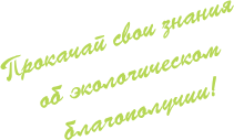 Прокачай свои знания об экологическом благополучии