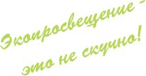 Экопросвещение — это не скучно!